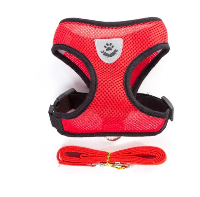Breathable Mesh Pet Harness with Leash – Reflective, Adjustable Vest for Small Dogs & Cats