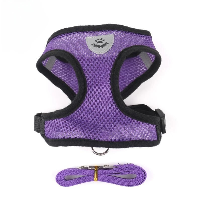 Breathable Mesh Pet Harness with Leash – Reflective, Adjustable Vest for Small Dogs & Cats
