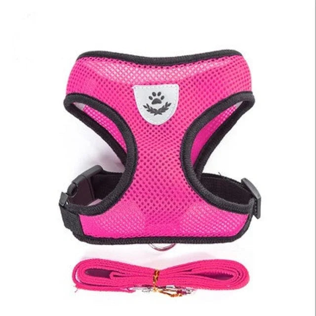 Breathable Mesh Pet Harness with Leash – Reflective, Adjustable Vest for Small Dogs & Cats