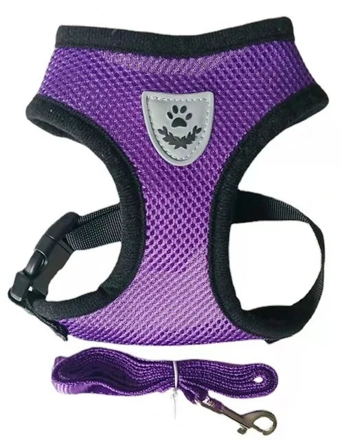 Breathable Mesh Pet Harness with Leash – Reflective, Adjustable Vest for Small Dogs & Cats